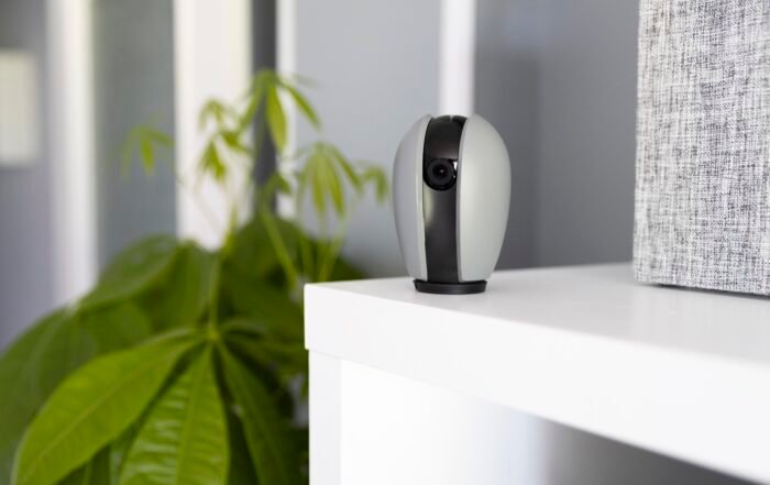 puericultura en X&agrave;tiva