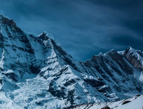 Nueva Tienda de Puericultura en Xàtiva Revoluciona el Mercado Infantil Local