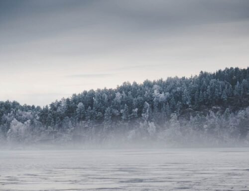 Nueva tienda de puericultura en Xàtiva revoluciona el mercado infantil