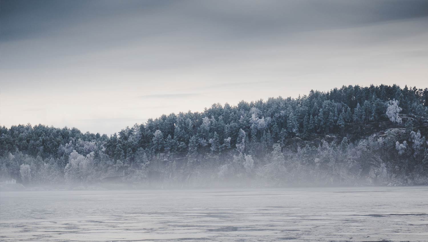 tienda puericultura Xàtiva